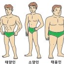 사상체질 간단 감별법 이미지