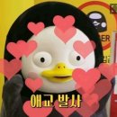 비스티즈 이미지
