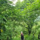 갤러리&펜션 풍경소리 이미지