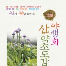 산약초와 한방차 이미지