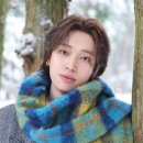 엔리스 이미지