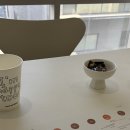 웨딩플래너 업체 4개 꼼꼼 비교&최종선택 후기(웨덱스웨딩 vs 제이웨딩 vs 아이니웨딩 vs 와이즈웨딩)