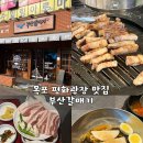 목포 평화광장 고기집 부산갈매기 목포평화광장점 단골 후기