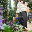 미정목장 | [공지] 베네치아 여행 페기 구겐하임 미술관 / 블로그 이전합니다