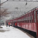 관광열차 이미지