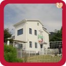 진접동물병원 | 진접강아지파양 알아보던 초보의 감동 후기