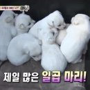 희대농장 이미지