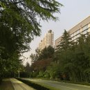 대구청림초등학교 이미지