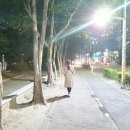 대전태평초교 이미지