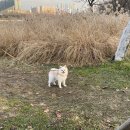 호수 청구(아) 이미지