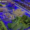 쌍문역 맛집 고기싸롱 쌍문역점 리뷰추천메뉴가격주차영업시간
