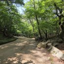 소요산불난집 | 문경새재, 한국의 일등 명품 힐링 숲길 13KM, 아주 편하게 다녀온 비밀 공개