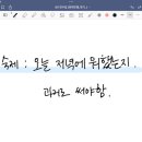 라삐도 이미지