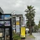 함덕주막 제주｜함덕 해수욕장 소노벨 제주 맛집 후기