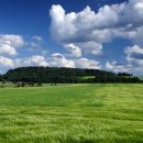 산들공인중개사사무소 이미지