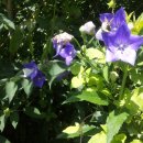 방글농장 이미지