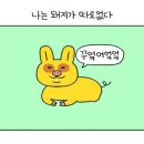 보오 이미지