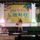 수안보관광펜션 이미지