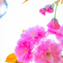 완산공원(아래) 이미지