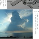 싱글벙글복어 이미지