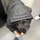 사랑의 다리 | [요즘 근황] 백수 생활