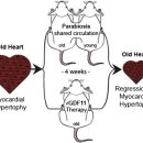 만병통치 이미지