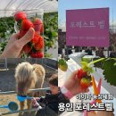 진정1농장 | 용인 딸기체험농장 포레스트벨 (ft. 동물체험 실내가볼만한 곳)