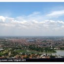 나라꽃 미니정원 이미지