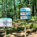 환선봉에서 이미지