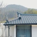 스테이담 이미지