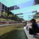 그늘막50 이미지