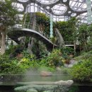 비스마르 | 비 오는 날 상하이에서 즐길 거리 추천 - 상하이 온실정원(上海温室花园, Shanghai Greenhouse Garden)