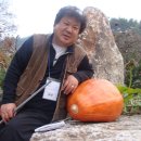 이일 이미지