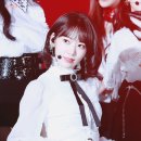 미야와키 사쿠라 카카오 검색결과