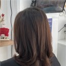 살롱 오래오 | 마음에 쏙 드는 변화를 위한 강서구미용실 방문 추천 후기