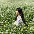 파랑새목장 이미지