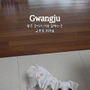 퍼피움 이미지
