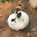 하동 해뜰목장 :: 하동데이트 추천