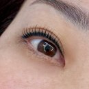 동산로1 | 창원 상남동 속눈썹펌 짧은 속눈썹도 가능했던 모모도트 첫 방문 후기