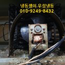 우성수리 이미지