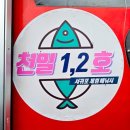 솔동산로11번길 | 서귀포 아이랑 가볼만한 곳 바다배낚시 후기 준비물 시간