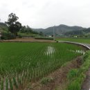세도화수보건진료소 | 충청남도 부여군 세도면 화수리 산63 임야 경매.2017 타경 2553