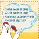꼬꼬비어 - 춘천시 퇴계로77번길 1 | 꼬꼬비어