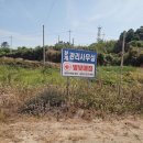 신안별빛 | 신안 자은도 분계해수욕장 캠핑 애견동반 가성비로 굿!