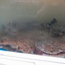 다온아구 이미지