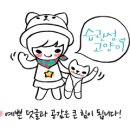호주 태즈매니아 호바트 자유여행 팁 &amp; 추천일정 2박3일 코스