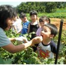 시흥의원 이미지