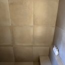 아셉오어 이미지