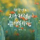 보성 녹차~♡ 이미지
