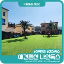 소안힐링펜션 | 해외같은 감성숙소 태안 안면도 애견펜션 나인독스